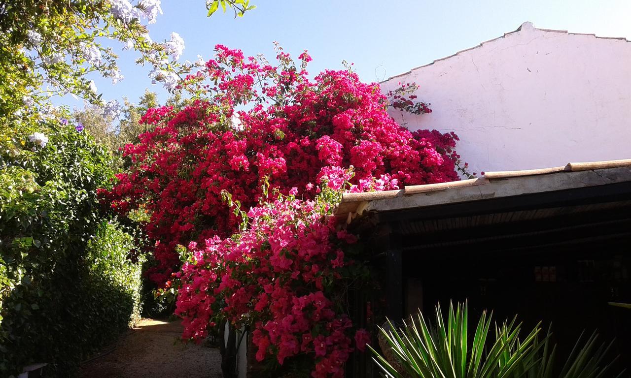 Quinta Das Flores Villa Albufeira Exterior photo